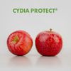 Cydia Protect®